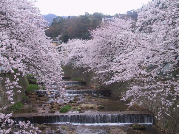 Kadonobo Ryokan Kobe Ngoại thất bức ảnh